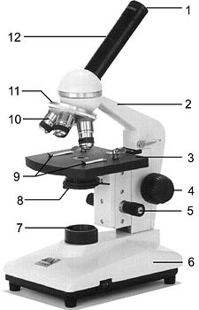 Mikroskoplar temel komponentleri