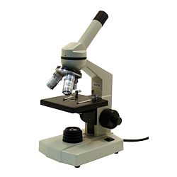 Tek gözlü Mikroskoplar