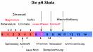 pH metreler: pH değer skala