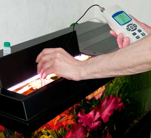 Akvaryumda pH Metre PCE-228 ile ölçüm yapılırken.