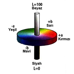 Tanabilir Renk lm Cihaz NH310 Renk Alan CIE-LAB