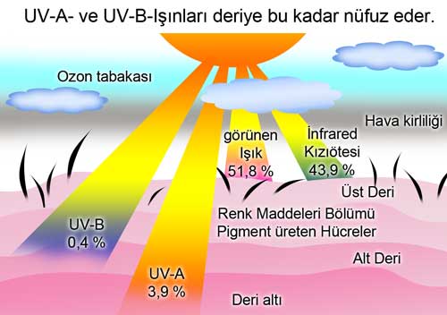 Ultraviyole lm Cihaz PCE-UV34 ile deriyi etkileyen Ultraviyole-Inn lm.